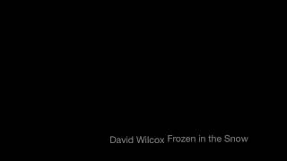 Watch David Wilcox Frozen In The Snow video