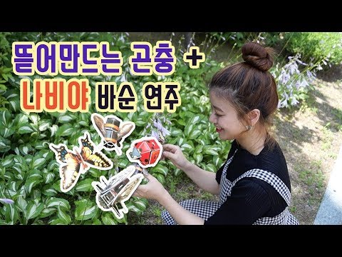 교과서에 나오는 한국의 곤충들