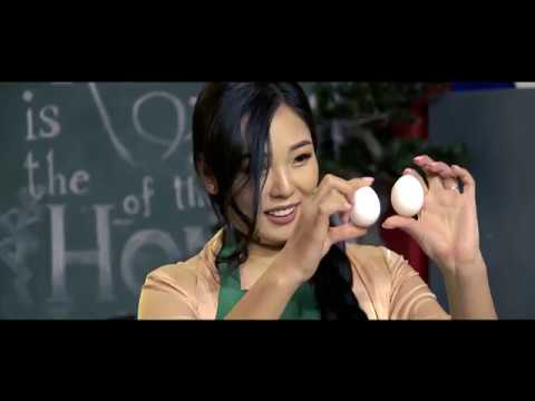 Видео: Өндөг дотор яагаад хоёр шар байж болох вэ?