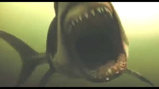 All Creature Effects Shark Night