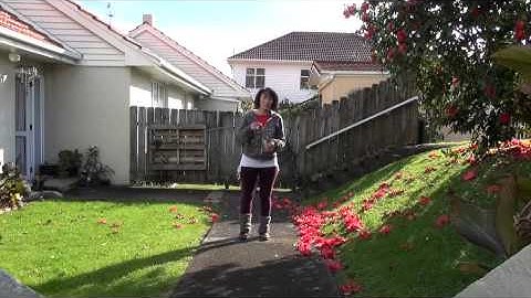 The Jitterbug Stroll part 3