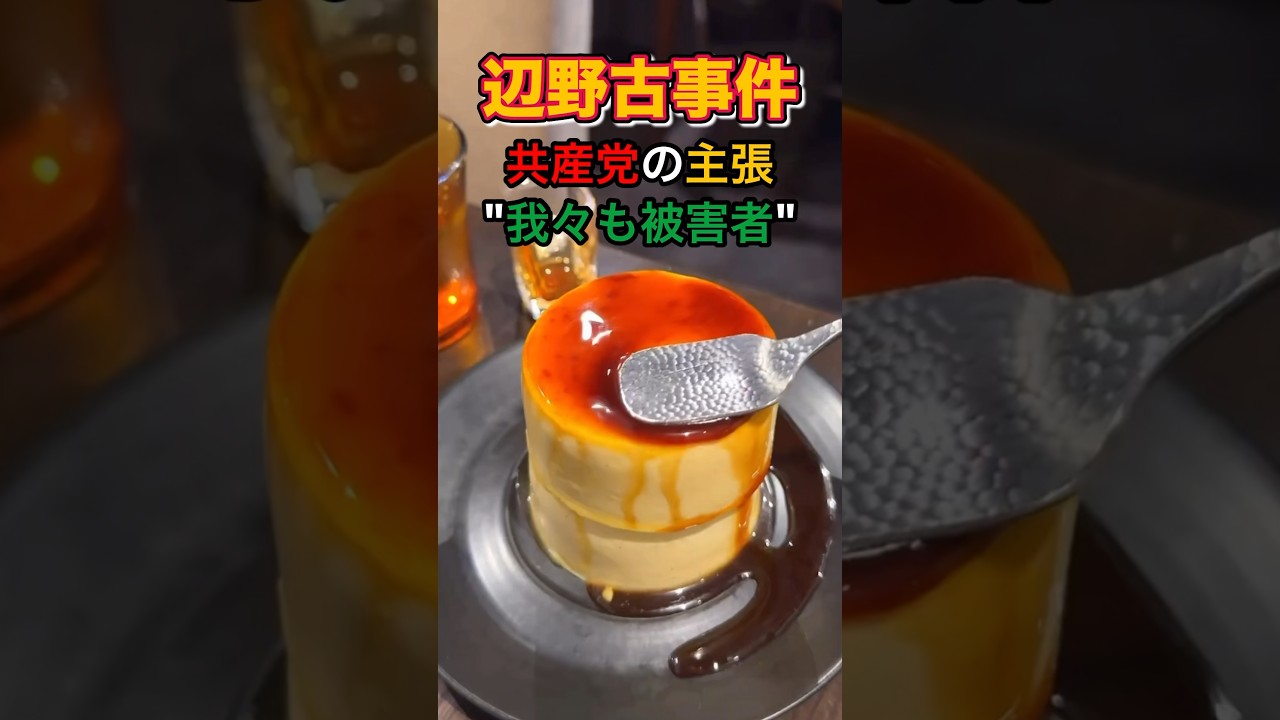 【は？】我々も辺野古事件の被害者って言いたいわけ？