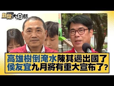 高雄樹倒淹水陳其邁出國了 侯友宜九月將有重大宣布了？ 新聞大白話@tvbstalk 20230905