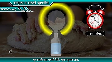 9th Science | Chapter#08 | Topic#04 | किण्व | Marathi Medium