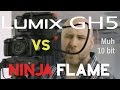 Panasonic GH5 vs Atomos Ninja Flame - Internal vs External 10 bit Shootout!