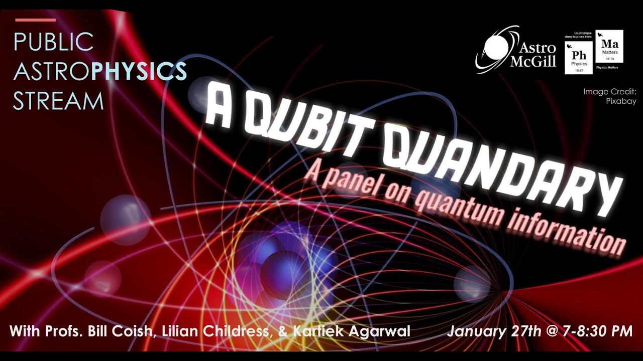 A Qubit Quandary: A Panel on Quantum Information