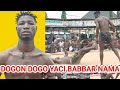 March 10 2026 DOGON DOGO YA SUMAR DA DAN ALIYU March 10 2026 DOGON DOGO YA SUMAR DA DAN ALIYU