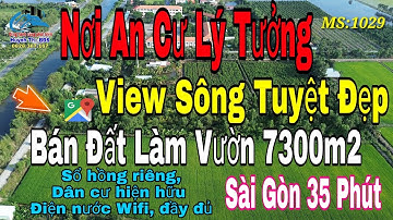 Nhà Vườn Long An | Đất Trồng Cây Ăn Trái View Sông 7.352m2 Tuyệt Đẹp Tại Thủ Thừa
