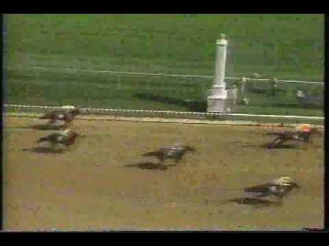 1987 Louisville Breeders' Cup (stretch) - Queen Alexandra