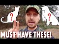 Best homestead animals the 2 that you cannot do without