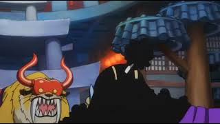 Jinbei Shoos A Bad Cat