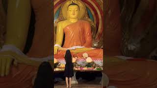 Gangaramaya Temple In sri lanka #ytshorts #srilanka #colombo #travel #Buddha #nammyohorengekyo #FYPP