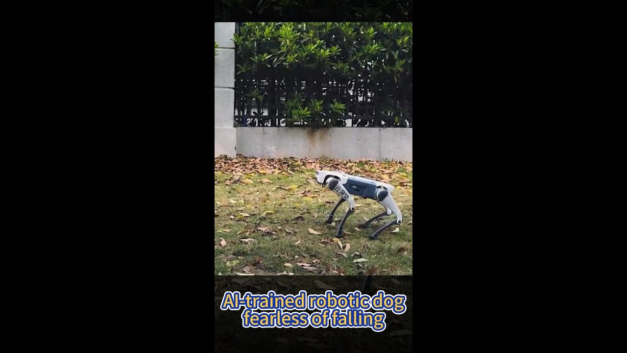 AI-trained robotic dog that can't be knocked over