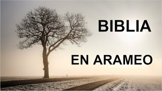 Traducir la Biblia del Arameo al Español: un desafío y una oportunidad by Judaismo y Hebreo 537 views 1 year ago 2 minutes, 18 seconds