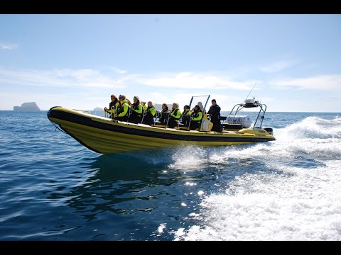 RIB Speedboat Adventure