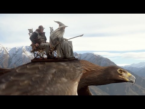 Video The Most Epic Safety Video Ever Made #AirNZSafetyVideo