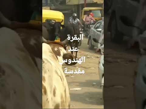 الخلاف بين الهندوس والمسلمين في الهند