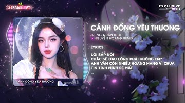 Cánh Đồng Yêu Thương (Nguyễn Hoàng Remix) - Trung Quân Idol | Hot TikTok 2023 - Audio Lyrics Video