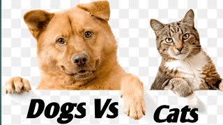 Dogs vs Cats /funniest animals/try not to laugh 😂 /funny animals#funny#worldfunanimals #Laffeyandamy