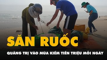 Quảng Trị vào mùa săn ruốc biển kiếm tiền triệu mỗi ngày