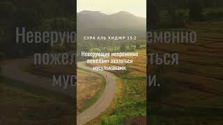 Сура Аль Хиджр 15:2 #аллах #коран #сура #аят