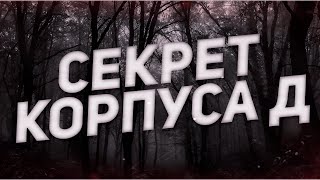 Страшные истории на ночь-Секрет корпуса Д