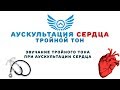 Аускультация сердца: тройной тон