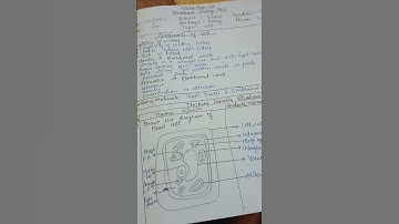 lesson plan for b.ed in English #biology BLACKBOARD WRITING SKILL