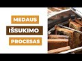 Medaus isukimo procesas bityne