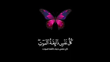 تلاوة تطهر القلب🌿 حالات واتس🌿 من سورة العنكبوت