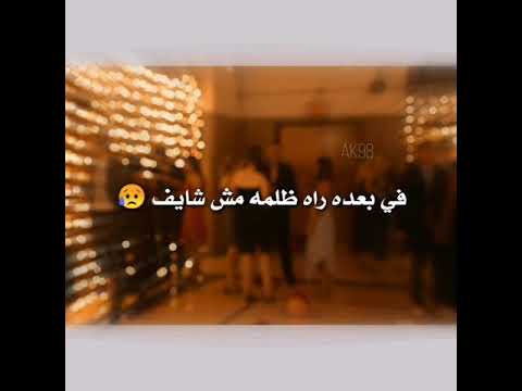 هايم في ليلي نا مرايف