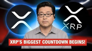 XRP’s COUNTDOWN Begins — 20 Days That Could Change Everything!