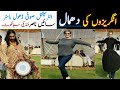 Nasir Sain Sufi Dhol Playing uk&usa Fans Dance Bhangra Beats Dhamal In Pakistan Best Female Dance