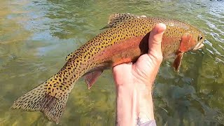 Fly Fishing the Bushkill Creek, 