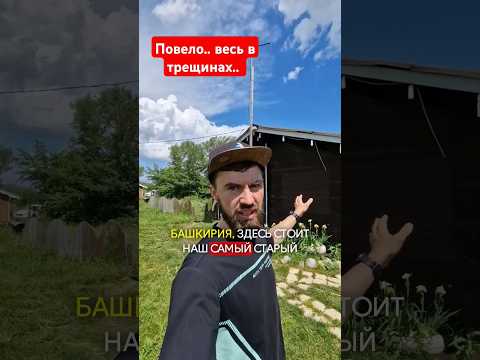 Что стало с брусом через 12 лет? #двойнойбрус #домподключ #стройка #строимдом #деревянныйдом #дом