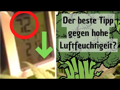 Video: Luftfeuchtigkeit erhöhen: Norm, Messmethoden, Niveaunormalisierungsmethoden