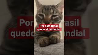 El Karma Le Tocó A Brasil