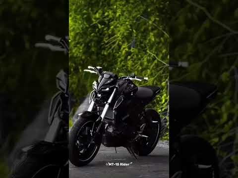 MT 15 STUNT