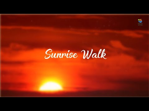 Sunrise Walk | Say Good Morning To Weight Loss and Diabetes | Benifits 👇 ಪ್ರಯೋಜನಗಳು