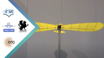 Winged Aerial Robot: Modular Design Approach
