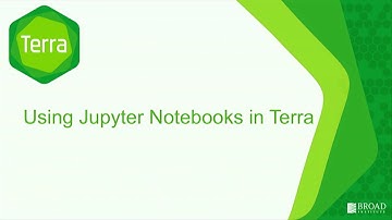 BroadE: Interactive analysis with Jupyter Notebooks in Terra