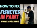 HOW TO FIX FISHEYE PAINT PROBLEM WHILE SPRAYING