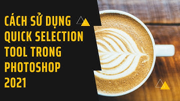 Hướng dẫn sử dụng Photoshop cơ bản - Tạo vùng chọn bằng Quick Selection Tool - Phần 23