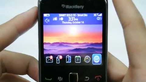 BlackBerry Curve 9300: Turn off / on data services