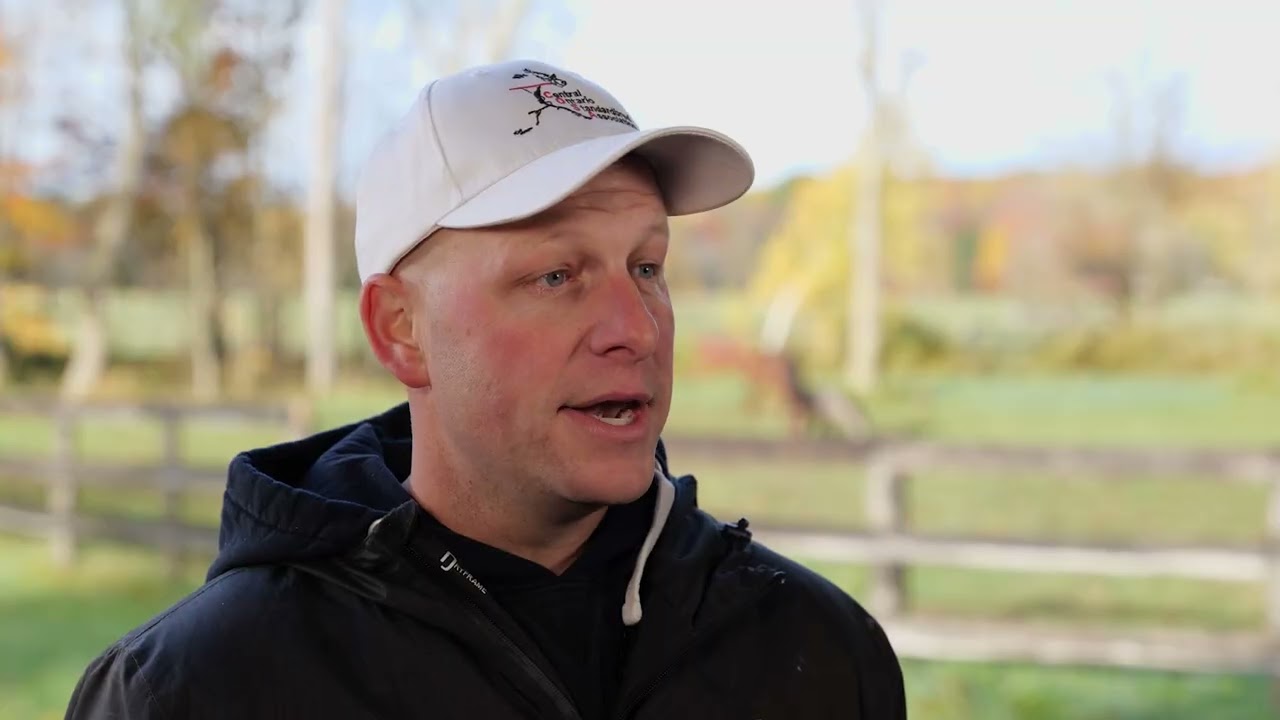 Show Feature, Jones, Bingo Night, Bax, Storybook Love, 2025 Breeders Crown