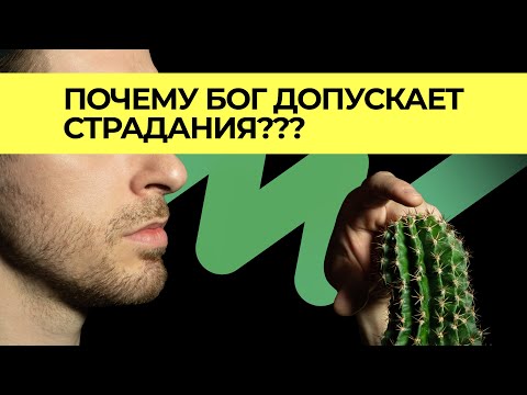 Почему Бог допускает страдания? Грехопадение. Природа человека @kniga-knig