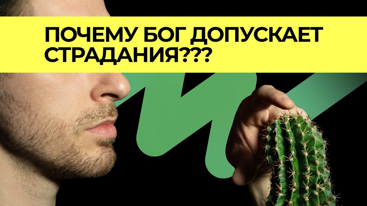 Бог допускает страдания. Почему бог допускает страдания животных.