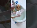Japanese Bath Bomb July 2nd 2026 Part2 #shorts #bones @AlinaSaito