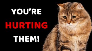 7 Mistakes That Break Your Cat’s Heart 💔