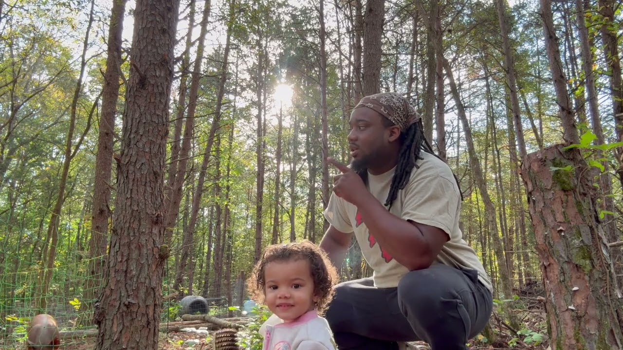 From Posts to Progress: Framing the Chicken Run Begins!”